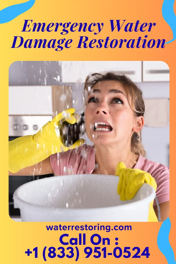 Emergency Water Damage Restoration in Rochester, WI