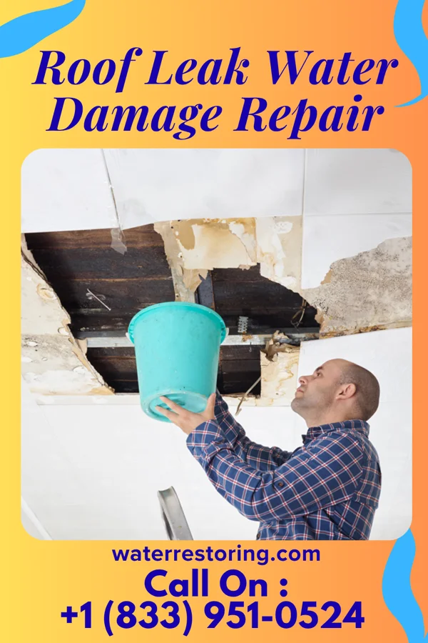 Roof Leak Water Damage Repair in Rochester, WI